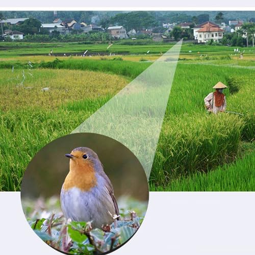 10-30 Zoom Monocular Telescope, Adult 10-30x42 Zoom Monocular, Compact Portable Monocular, Lightweight Handheld Pocket Telescope with Hand Strap, Zoom Monocular Telescope for Bird Watching