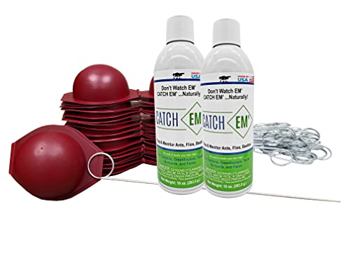 (40 Pack) Apple Maggot Trap Deluxe Kit - with NO Pesticides, Made in USA