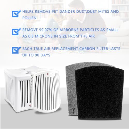 04530GM Filter Compatible with Hamilton Beach with True Air Odors 04530F 04251 04271 04530 04530F 04294 04531GM 04532GM 04234G Carbon Filters(6Pcs)