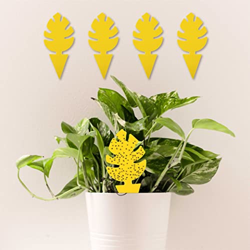 150 Pcs Yellow Sticky Trap for Indoor Gnats Dual Sided by Grow Margo - Fruit Fly Traps for Indoors - Plant Sticky Traps for Gnats - Plant Gnat Stix - Plant Fly Sticky Trap Sticks (5 Packs (150 pcs))