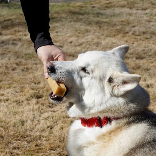 100% Natural Himalayan Yak Cheese for Dogs - XLarge (Pack of 1) - Sourced from Pristine Himalayan Foothill, Rawhide-Free, NO preservatives