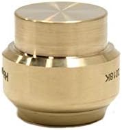 (Pack of 10) EFIELD 1/2 Inch Plug End Cap Push-Fit Fitting to Connect Pex, Copper, CPVC, with a Disconnect Clip Tool