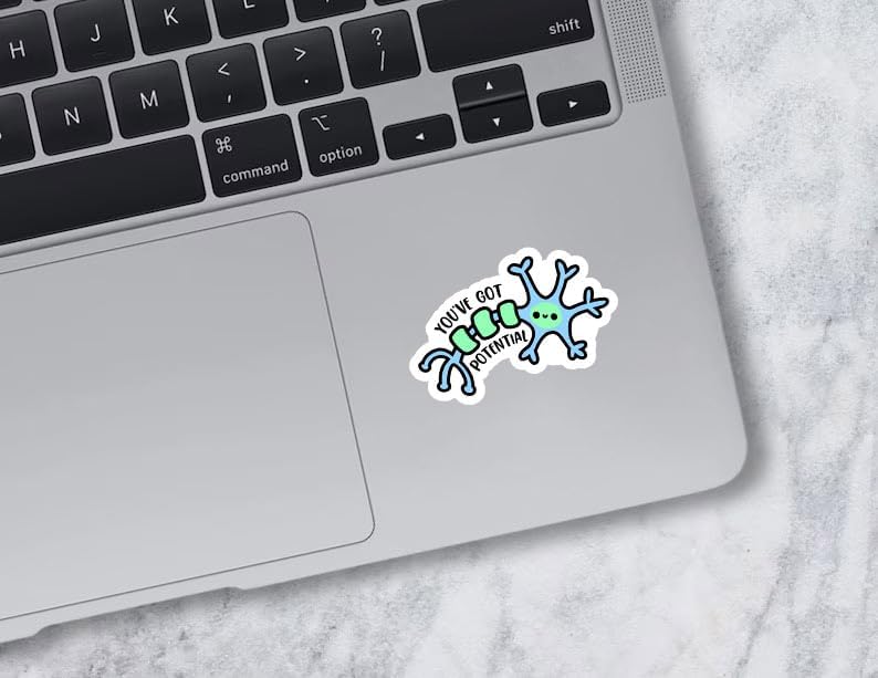 (3pcs)You've Got Potential Cute Neuron Sticker for Phone Case Laptop Tumbler Cars Trucks, Funny Biology Stickers, Kindle Stickers, Book Stickers, Neuro Psychology Decal Decor Gifts (Size 3")