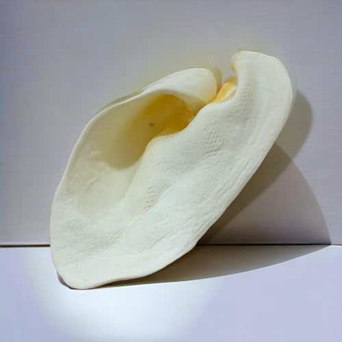 100% Natural Real Cow Ears (50 Pack) Prime Dog Chews, Over 5 inches Free Range Grass Fed Cattle, No additives, Chemicals or Hormones