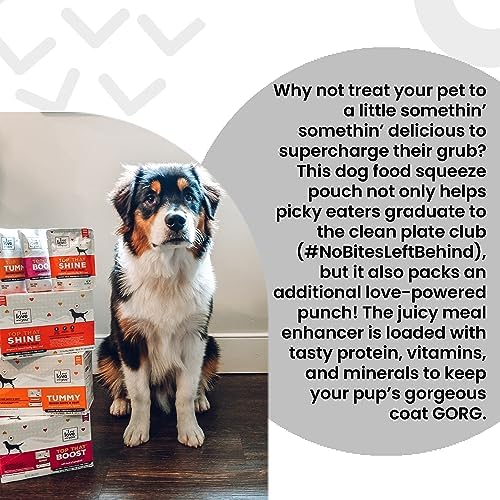 "I and love and you" Top That Shine Wet Dog Food Pouch, Beef Recipe In Gravy, 3 oz (Pack of 12)