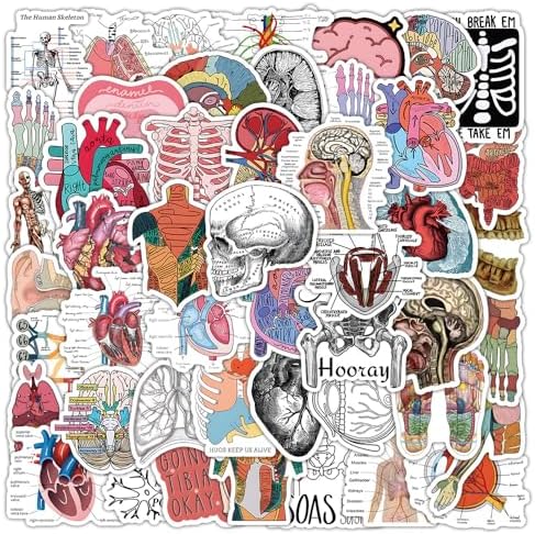 100Pcs Anatomy Stickers,PEGTMVE Human Anatomy Decals, Body Part Stickers, Brain Stickers, Physiology Stickers, for Mobile Phones Computers Refrigerators Bicycles Cars Helmets