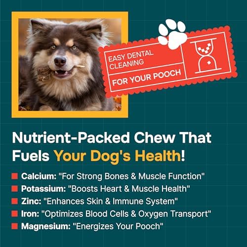 100% Natural - Antlers For Dogs - Elk Antlers for Very Large Dogs - Naturally Shed in USA - Grade A Dog Antler Chews - Dog Chews - Natural, Long-Lasting Treats for Aggressive Chewers - Extra Large