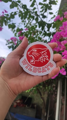 (Pack of 3) Troy Bolton Musical High School Wildcats Sticker 3 inch