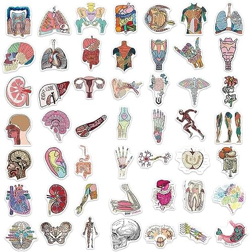 100Pcs Anatomy Stickers,PEGTMVE Human Anatomy Decals, Body Part Stickers, Brain Stickers, Physiology Stickers, for Mobile Phones Computers Refrigerators Bicycles Cars Helmets