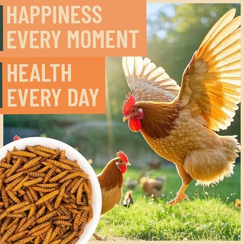 10LB Dried Black Soldier Fly Larvae for Chicken– 85X More Calcium Grubs Than Mealworms for Strong Eggshells & Healthy Growth - High Proteinfor Chickens, Birds, Ducks, Geese & Pets
