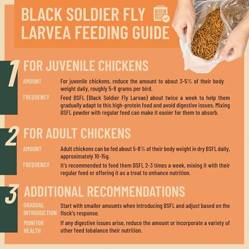 10LB Dried Black Soldier Fly Larvae for Chicken– 85X More Calcium Grubs Than Mealworms for Strong Eggshells & Healthy Growth - High Proteinfor Chickens, Birds, Ducks, Geese & Pets
