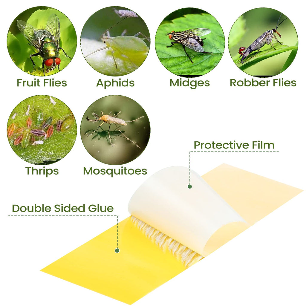 150 Pack Sticky Houseplant Traps Stakes Yellow Insect Trap Fungus Gnat Sticky Trap for Indoor Outdoor Garden Houseplant Fungus Gnat Fruit Flies Mosquito