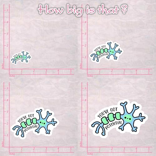 (3pcs)You've Got Potential Cute Neuron Sticker for Phone Case Laptop Tumbler Cars Trucks, Funny Biology Stickers, Kindle Stickers, Book Stickers, Neuro Psychology Decal Decor Gifts (Size 3")