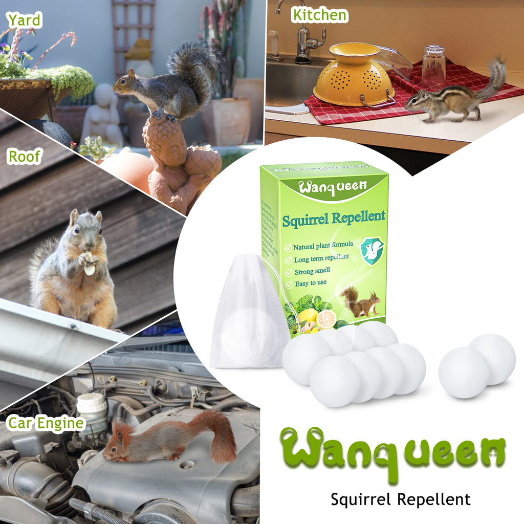 10 Pack Squirrel Repellent, Mouse Rodent Repellent for Car Engines, Peppermint Oil Squirrel Deterrent Pest Control Yard, Outdoor