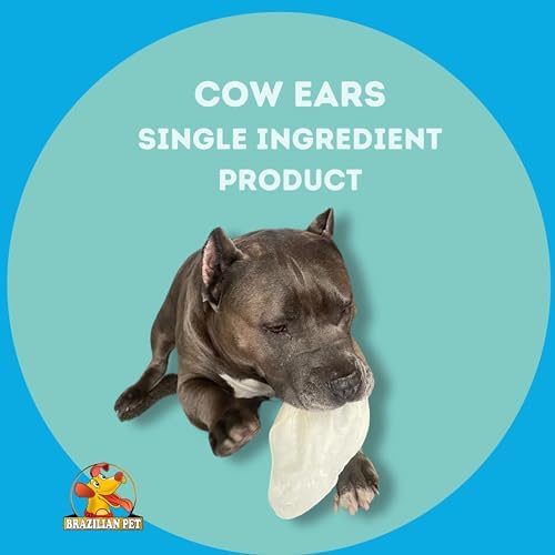 100% Natural Real Cow Ears (50 Pack) Prime Dog Chews, Over 5 inches Free Range Grass Fed Cattle, No additives, Chemicals or Hormones