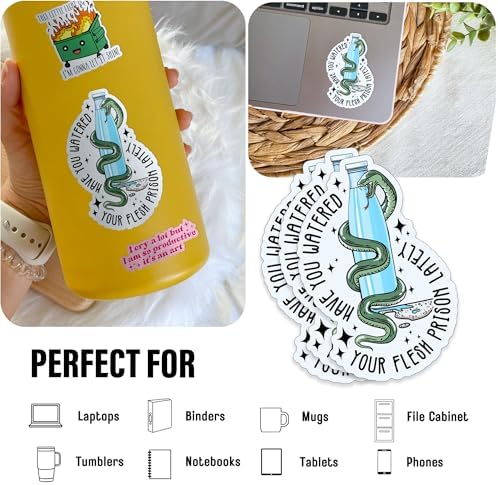 (3Pcs) Have You Watered Your Flesh Prison Lately Snake Sticker, 3" Drink Your Water, Hydrate Sticker Mental Health Waterproof Die-Cut Vinyl Laptop Sticker, Water Bottle Sticker Gifts 3 Inches
