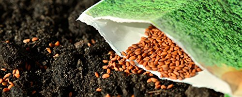 Super Soil Organic Concentrate