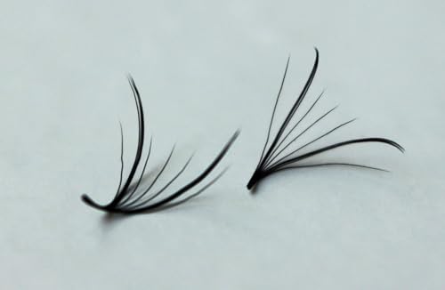 1000 fans 7D 0.05 Wispy Premade fans Mixed Lengths 9-16mm Volume loose Lashes C D Curl Handmade Fan eyelash extensions Kimeyelashes promade fan Double Spikes (Curl C, 7D - 0.05 - FishTail 1000f)
