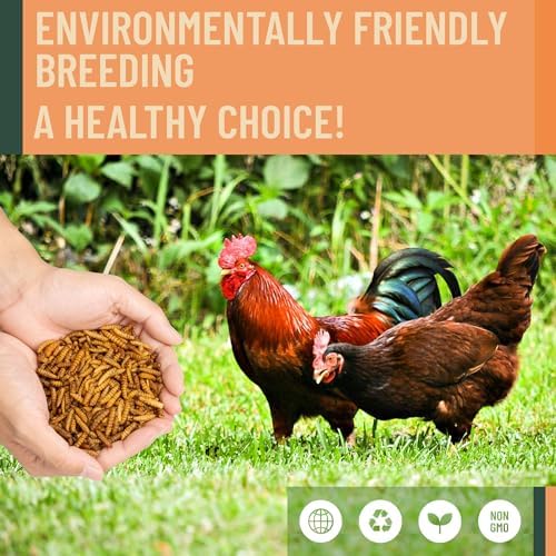 10LB Dried Black Soldier Fly Larvae for Chicken– 85X More Calcium Grubs Than Mealworms for Strong Eggshells & Healthy Growth - High Proteinfor Chickens, Birds, Ducks, Geese & Pets