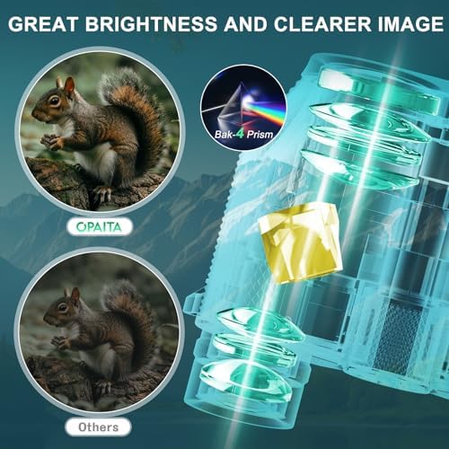 12x25 Binoculars Compact for Adults - Lightweight Kids Binoculars - Binoculars with Clear Vision for Bird Watching Travel Wildlife Watching & Outdoor Activities