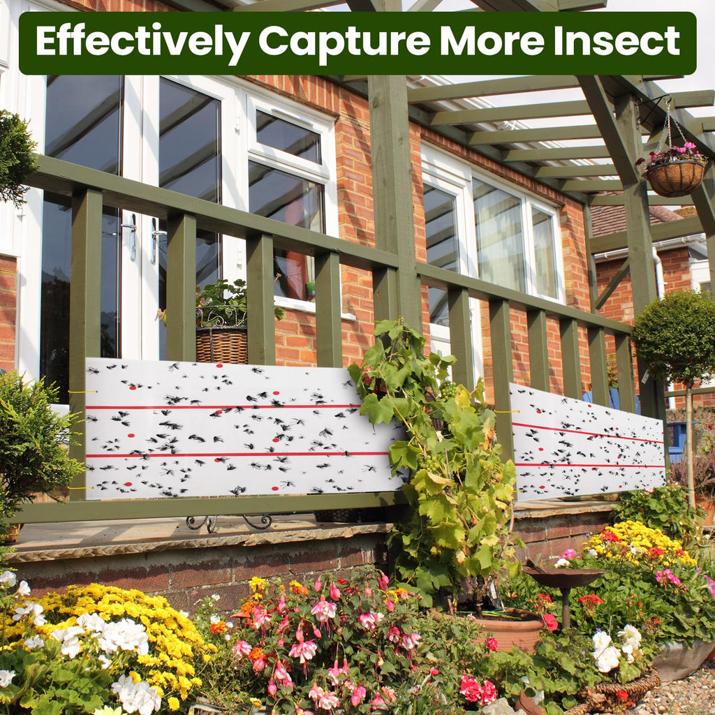 10 Rolls Giant Sticky Fly Traps 30 Feet Fly Strips for Indoor Outdoor Hanging Fly Tapes Non Toxic Fly Ribbon Fruit Fly Gnat Trap Killer for Mosquito Plants House Horse Stable (White)