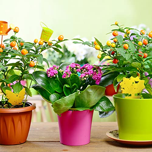 100 Pack Yellow Sticky Traps, Fruit Fly Fungus Gnat Trap for Indoor/Outdoor Use, Houseplant Sticky Bug Insect Catcher Glue Trappers