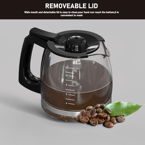 12-Cup Coffee Pot Replacement Compatible with Hamilton Beach Flexbrew Models: 49902, 49915, 49905C, CM4309, 49317, 49467, 49611, 49904, 49934, 46230, 46290, 46293, 46294, 46299, Part Number: 990136800