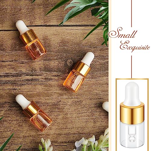 100 Pcs Mini Glass Oil Dropper Bottle Bulk, 2 ml Gold Clear Essential Small Empty Bottles Sample Containers Perfume Liquid Vials with Cap for Traveling
