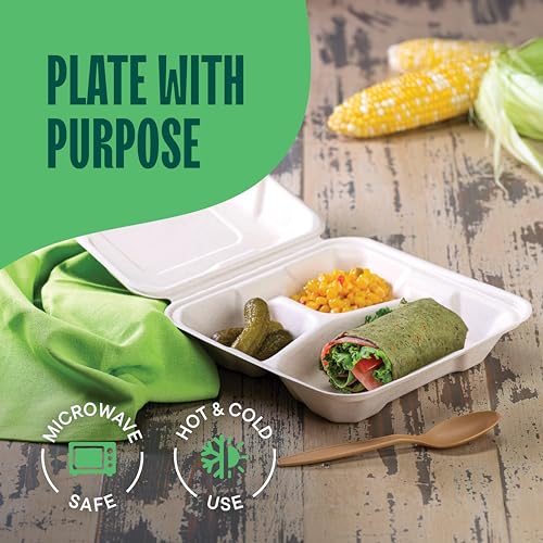 100% Compostable To Go Containers 9x9" 3-Compartment Clamshell Take Out Food Container with Hinged Lid - Disposable Togo Plates - Eco-Friendly Takeout Box Made of Sugar Cane Bagasse [50-Pack]