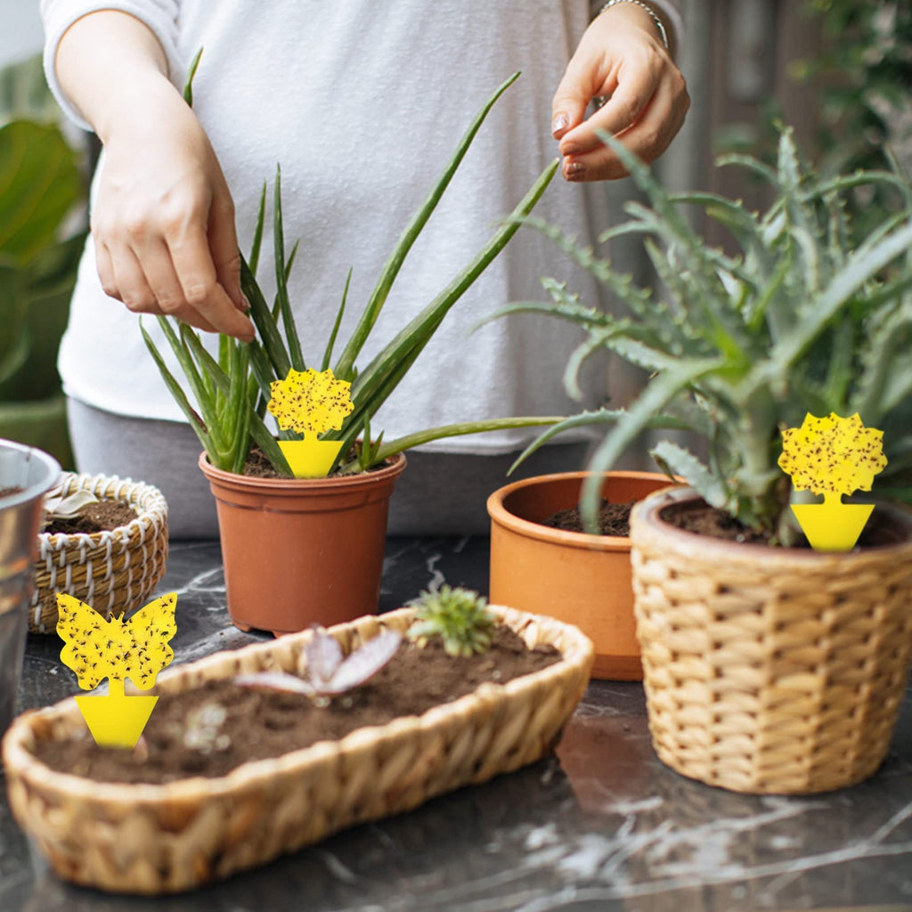 120 Pack Yellow Sticky Traps for Gnats, Fungus Gnat Sticky Trap Fruit Fly Traps Plant Flies Killer, House Plant Fungus Gnat Killer Outdoor Bug Gnat Sticky Traps Indoor