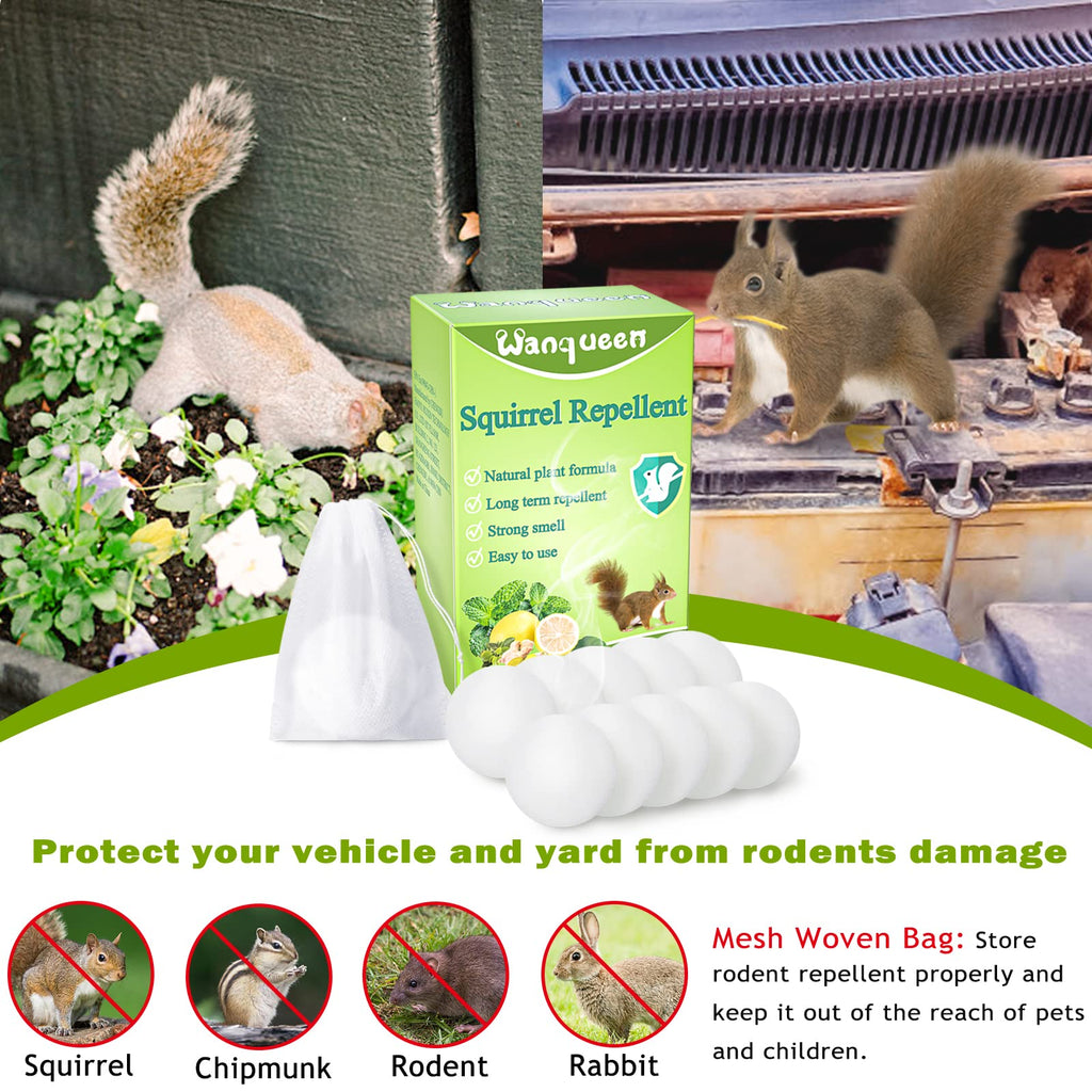 10 Pack Squirrel Repellent, Mouse Rodent Repellent for Car Engines, Peppermint Oil Squirrel Deterrent Pest Control Yard, Outdoor
