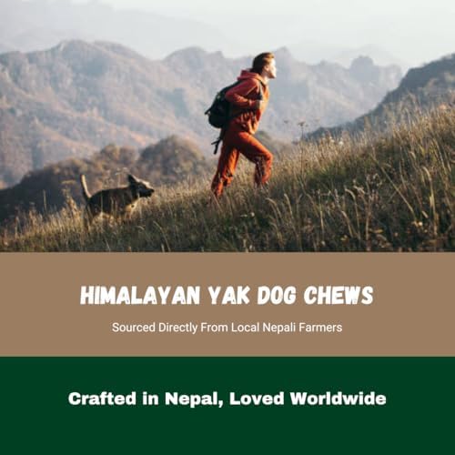 100% Natural Premium Himalayan Yak Milk Dog Chews - Long-Lasting, Digestible - Odor & Stain-Free - Gluten & GMO-Free - for Medium to Large Dogs