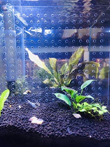 10 Gallon 9.8" x 11" Gallon Tank Acrylic Divider Aquarium Isolation Board with Suction Cups
