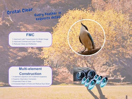 10x25 Binoculars for Adults, Large Eyepiece, Ultra Compact, Easy Focus, Low Light Vision, FMC Coating, Ideal for Travel, Sports, Bird Watching, Football, Outdoor Activities