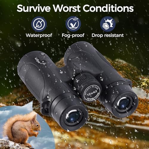 12x42 HD Adult Binoculars: Compact, Lightweight for Bird Watching, Travel, Sports, Concerts, Wildlife, Hiking, Hunting + Phone Adapter