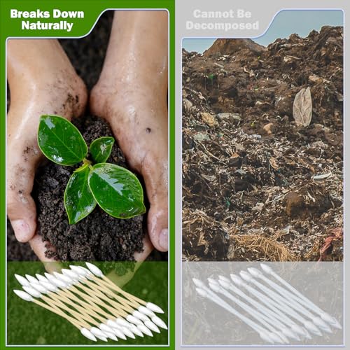 1000 Precision Tip Bamboo Cotton Swabs – Biodegradable & Organic Cotton Buds with Precision Tips – Eco-Friendly Wooden Swabs for Makeup, Cleaning, Crafts, and Baby Care