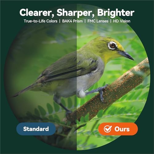 12x42 Binoculars for Adults High Powered, HD Compact Binoculars for Bird Watching with Phone Adapter, Lightweight Travel Binoculars for Cruise Ship, Sports, Concerts, Wildlife, Hiking, Hunting