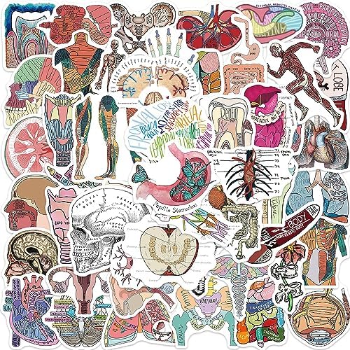 100Pcs Anatomy Stickers,PEGTMVE Human Anatomy Decals, Body Part Stickers, Brain Stickers, Physiology Stickers, for Mobile Phones Computers Refrigerators Bicycles Cars Helmets