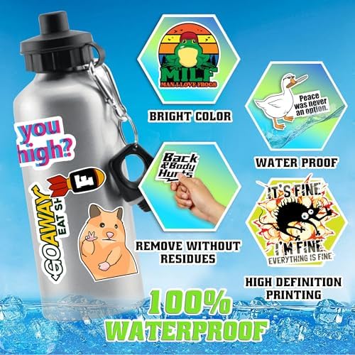 120pcs Funny Stickers for Adults, Prank Meme (Dirty) Hilarious Sticker Pack for Laptop, Hard Hat, Work, Water Bottles, Computers, Vinyl Waterproof Decals (120)