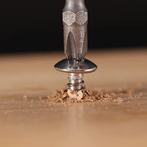 #10 x 2" Wood Screw 100Pcs Truss Head Phillips 18-8 (304) Stainless Steel Fast Self Tapping Screws by SG TZH