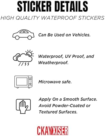 (3Pcs) I'm Not Qualified to Diagnose Sticker But I Have Some Theories Funny Sarcastic Sticker 3" Waterproof Die-Cut Vinyl Laptop Water Bottle Sticker Funny Birthday Gifts for Her Him 3 Inches