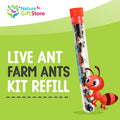 1 Tube Live Ant Farm Ants Plus Ant Food-Bundle