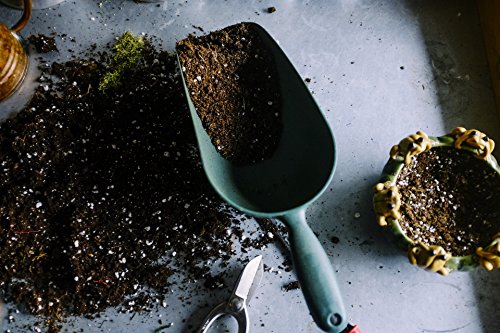 Super Soil Organic Concentrate