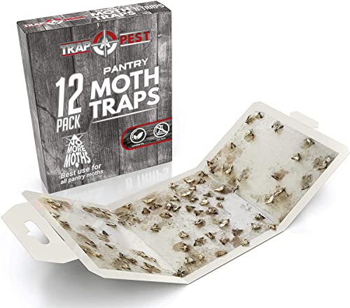 12 Pack Pantry Moth Traps - Safe and Effective for Food and Cupboard - Glue Traps with Pheromones for Pantry Moths - Trap a Pest
