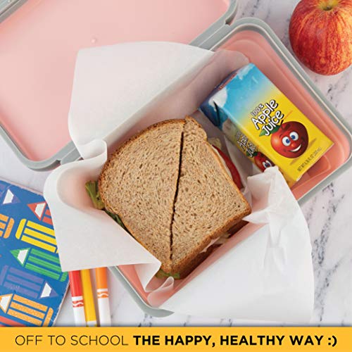 100% Whole Wheat Bread Sliced - 5 Pack - 16 oz per Loaf | Delicious Sandwich Bread | Kosher Bread | Dairy & Nut Free | Stern’s Bakery (5 Pack)