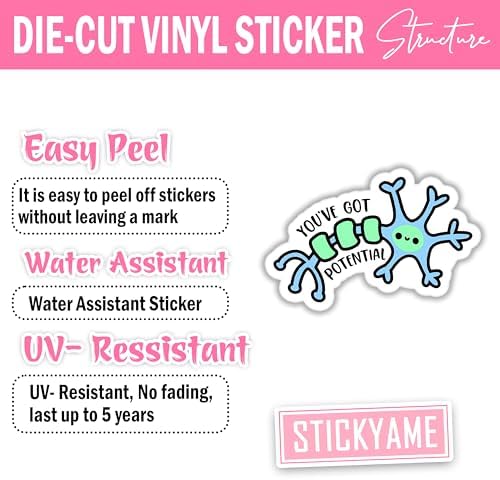 (3pcs)You've Got Potential Cute Neuron Sticker for Phone Case Laptop Tumbler Cars Trucks, Funny Biology Stickers, Kindle Stickers, Book Stickers, Neuro Psychology Decal Decor Gifts (Size 3")