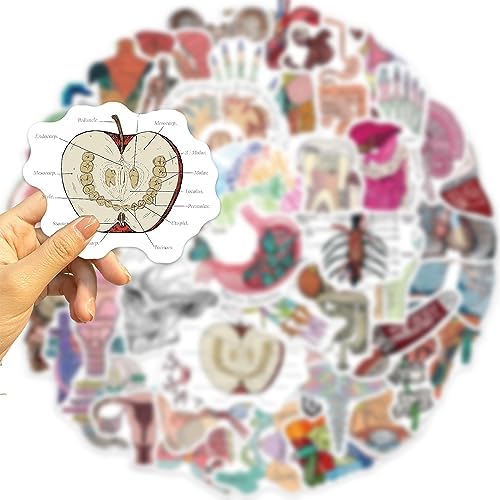 100Pcs Anatomy Stickers,PEGTMVE Human Anatomy Decals, Body Part Stickers, Brain Stickers, Physiology Stickers, for Mobile Phones Computers Refrigerators Bicycles Cars Helmets