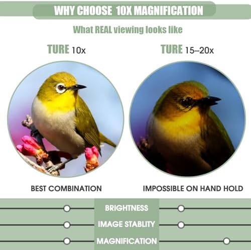 10x25 Binoculars, Compact Binoculars for Adults; high Powered, Smooth Focus, Water Resistant, HD Optical, Excellent Choice for Bird Watching, Concert, Sports & Travel; Lightweight 246g.