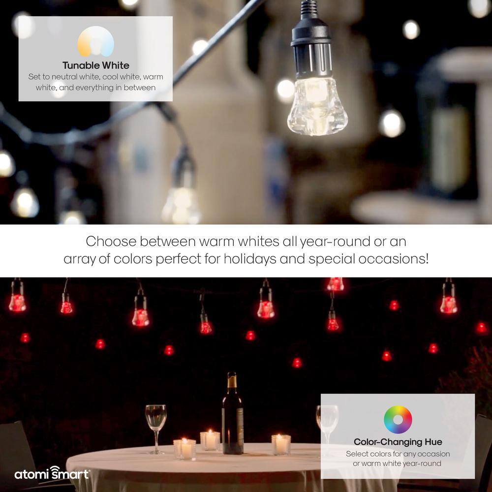 Atomi Smart WiFi Color String Lights - 24ft Waterproof LED, Alexa/Google Compatible