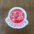 (Pack of 3) Troy Bolton Musical High School Wildcats Sticker 3 inch